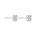 Pave Lucky Ohrstecker 14K Vergoldet