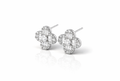 Royal Clover Zirkonia Ohrringe