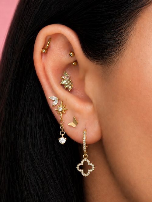 Piercings & Earcuffs